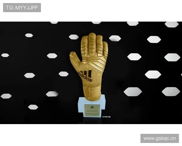 库尔图瓦：2欧冠4西甲2英超+世界杯金手套荣誉解析